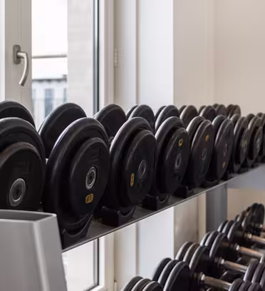 A set of black dumbbells arranged in varying weights on two racks in a brightly lit gym room. Large windows reveal a cityscape outside, and a mirror reflects the dumbbells.